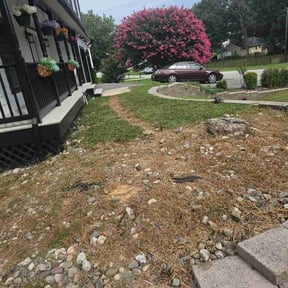 Bush Trimming by JJ’s Lawn Care reviewed on July 20, 2026