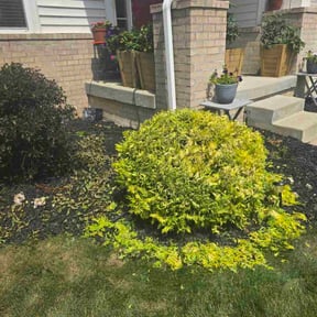 Bush Trimming by Garden Lawn Care reviewed on November 8, 2025