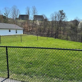 landscaping by All Trim Lawn Services, Inc. reviewed on August 21, 2025