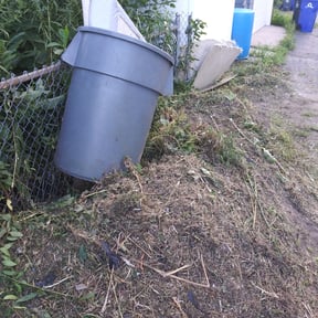 Bush Trimming by OTG Services reviewed on August 17, 2025