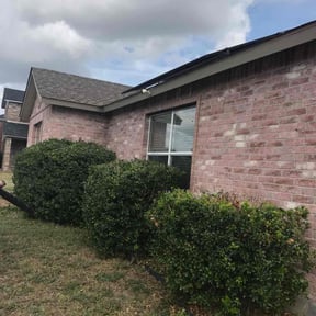 Bush Trimming by Big Chief Lawn Care reviewed on August 15, 2025