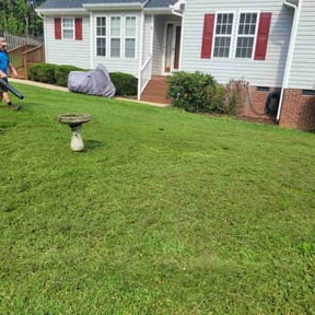 Bush Trimming by HalconLandscapingServices reviewed on August 21, 2025