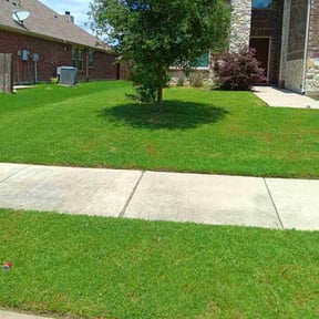 lawn care by Robert Norton’s Lawn Care reviewed on July 20, 2025