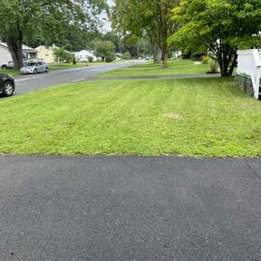 lawn service by Made 4 it all reviewed on March 21, 2024