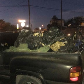 Bush Trimming by Benjamin Lawn Solutions reviewed on November 22, 2025