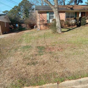 Leaf Removal by Green coqui lawn services reviewed on February 28, 2026