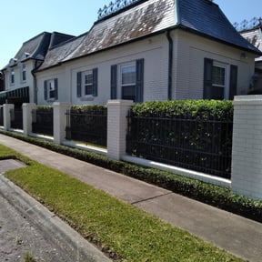 Bush Trimming by Givens Home & Lawn Care LLC reviewed on August 18, 2025