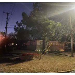 Leaf Removal by The Lawn Guy reviewed on January 31, 2026