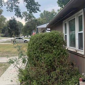 Bush Trimming by Bear foot lawns reviewed on October 23, 2025