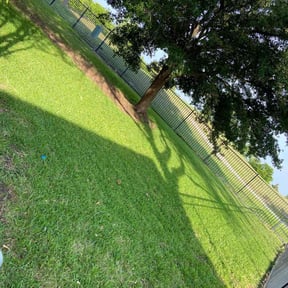 lawn care by Go Green Electric Lawncare reviewed on September 1, 2023