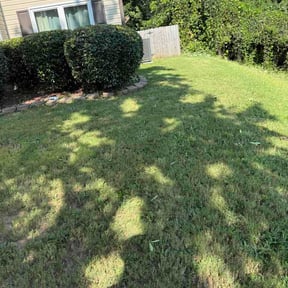 Bush Trimming by TR Landscaping reviewed on August 31, 2026