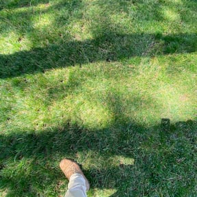 Leaf Removal by Wunder Grun LLC reviewed on October 2, 2025