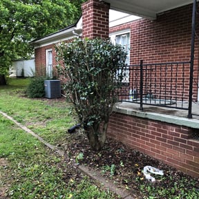 Bush Trimming by Multi Purpose reviewed on August 18, 2025