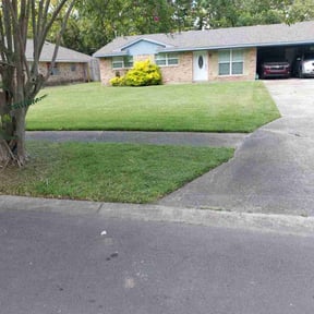 yard maintenance by George's Lawn Care reviewed on August 17, 2025
