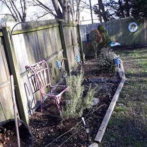Flower Bed Weeding by Loveladys Lawn Care reviewed on August 20, 2025