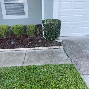 Bush Trimming by Pando Lawncare LLC reviewed on October 19, 2025