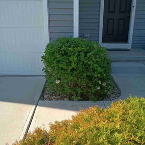Bush Trimming by Edgar Yanez Services reviewed on April 30, 2026