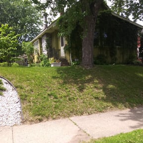 Bush Trimming by Texas Fencing & Landscaping reviewed on August 20, 2025