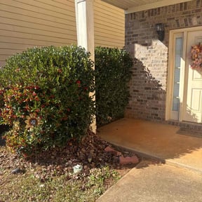 Bush Trimming by Kings Lawn Care reviewed on August 16, 2025