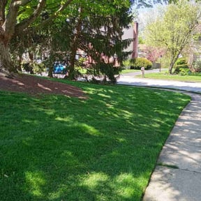 lawn care by Fredrick  Miller reviewed on March 7, 2024