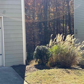 Bush Trimming by Cornerstone Lawncare LLC reviewed on October 19, 2025