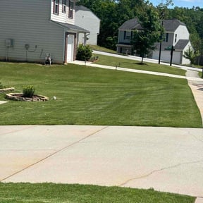 landscaping by Double-DD Lawn Care reviewed on August 15, 2025