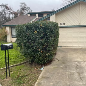 Bush Trimming by Maryhaven farm reviewed on August 15, 2025