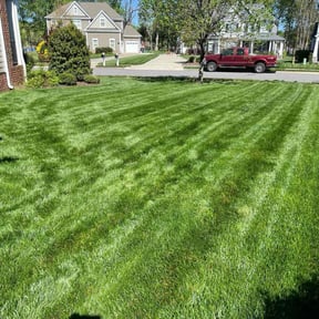 yard service by Solid Ground Landscaping reviewed on August 16, 2025