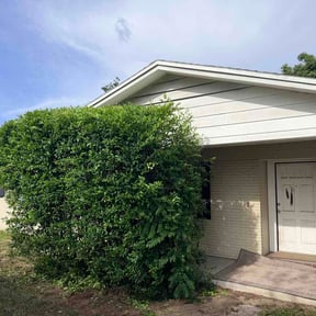 Bush Trimming by Multi Purpose reviewed on June 28, 2026