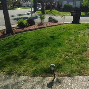 Bush Trimming by Grass Care By the Beach reviewed on August 17, 2025