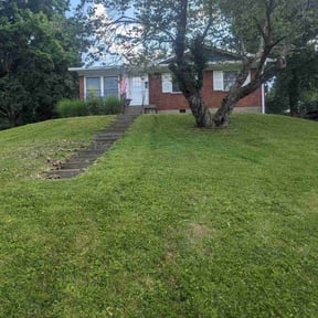 lawn service by Paz Lawn Care LLC reviewed on July 8, 2023