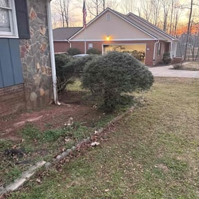 Bush Trimming by Curry's mowing reviewed on August 19, 2025