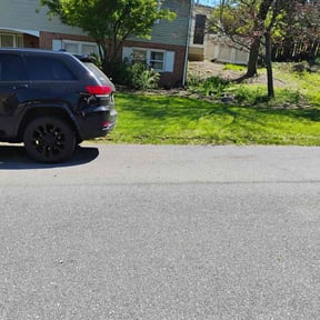 lawn care by Evans Lawn Service reviewed on June 20, 2025