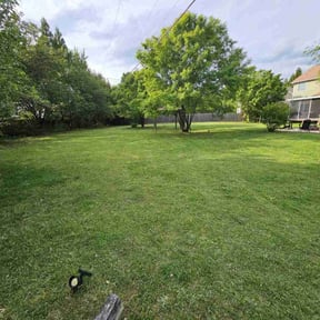 landscape maintenance by EC Lawn Service reviewed on August 21, 2025