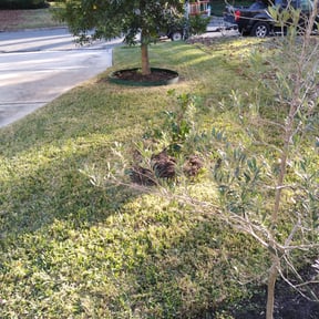 Leaf Removal by Mos Landscaping Service reviewed on June 28, 2022