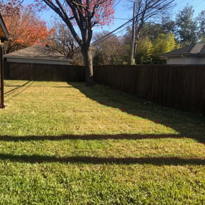 Leaf Removal by Transit LLC reviewed on August 18, 2025