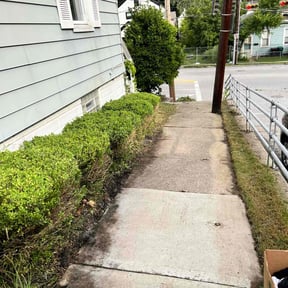 Bush Trimming by Jaman mowers  reviewed on August 15, 2025