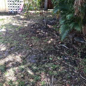 Leaf Removal by Lawn reserve reviewed on September 29, 2025