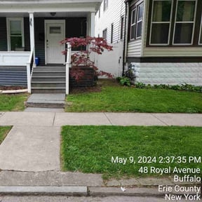 turf care by Checkpoint Lawn services reviewed on October 9, 2023