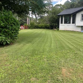 landscape maintenance by MCC Property Preservationr reviewed on August 19, 2025