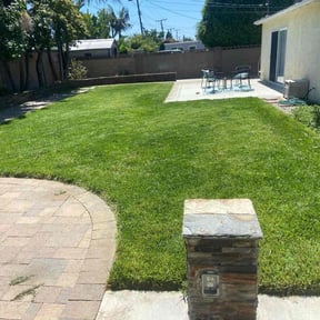 Long Grass Cleanup by Green landscaping LLc reviewed on August 18, 2025