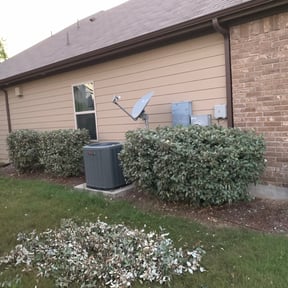 Bush Trimming by E-MACULATE LAWN CARE LLC reviewed on August 16, 2025