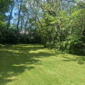 turf care by Superior lawn improvements reviewed on September 7, 2023