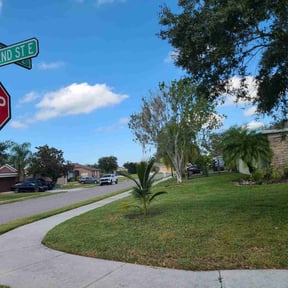 yard service by AAA Aponte Services LLC reviewed on October 7, 2021