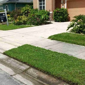 gardening service by Widow Lawn Care reviewed on November 27, 2025