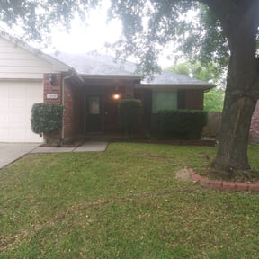 Bush Trimming by Sleezo landscaping reviewed on August 15, 2025