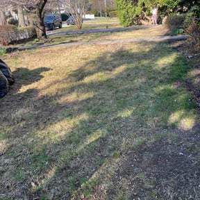 Leaf Removal by 400 Mowers reviewed on March 25, 2026