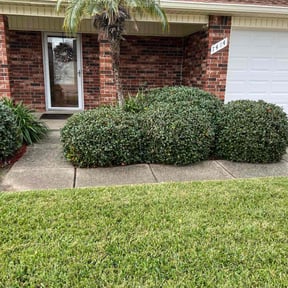 Weeding by Palmetto Landscaping, LLC reviewed on August 15, 2025