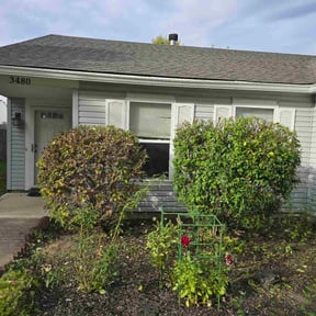 Bush Trimming by Thayer&#039;s Property Maintenance reviewed on November 19, 2025