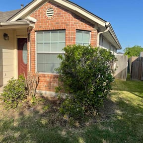 Bush Trimming by Loyalty lane landscaping reviewed on August 15, 2025